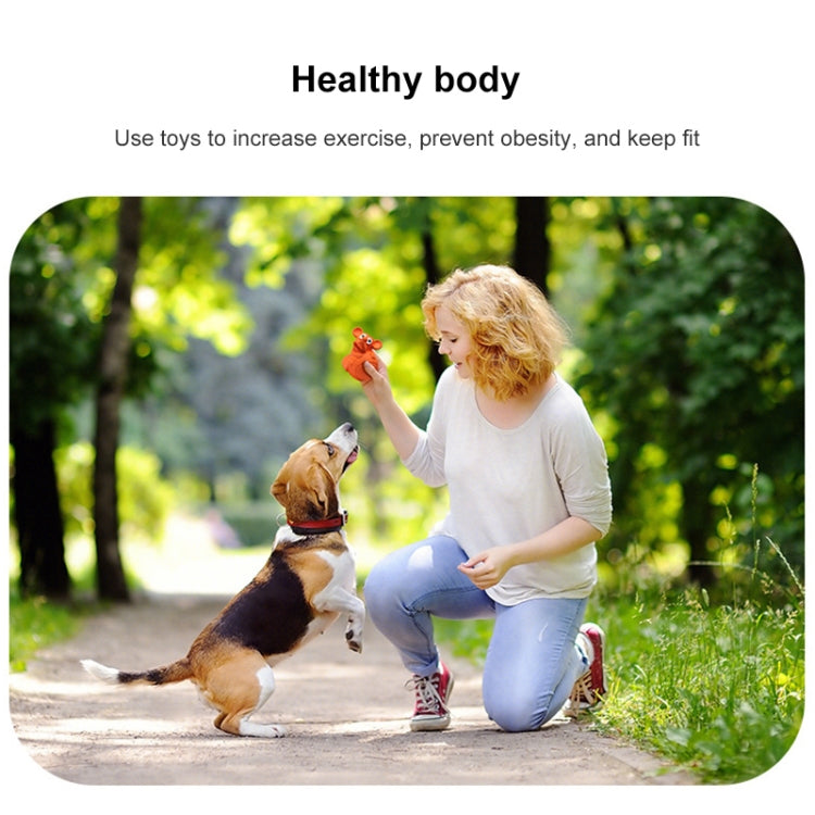 Mouse Basketball Shape Rubber Dog Voice Toy Pet Products