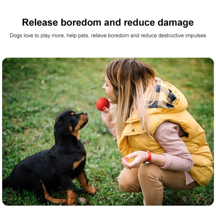 Rubber Dog Tie Sound Ball Toy Pet Products