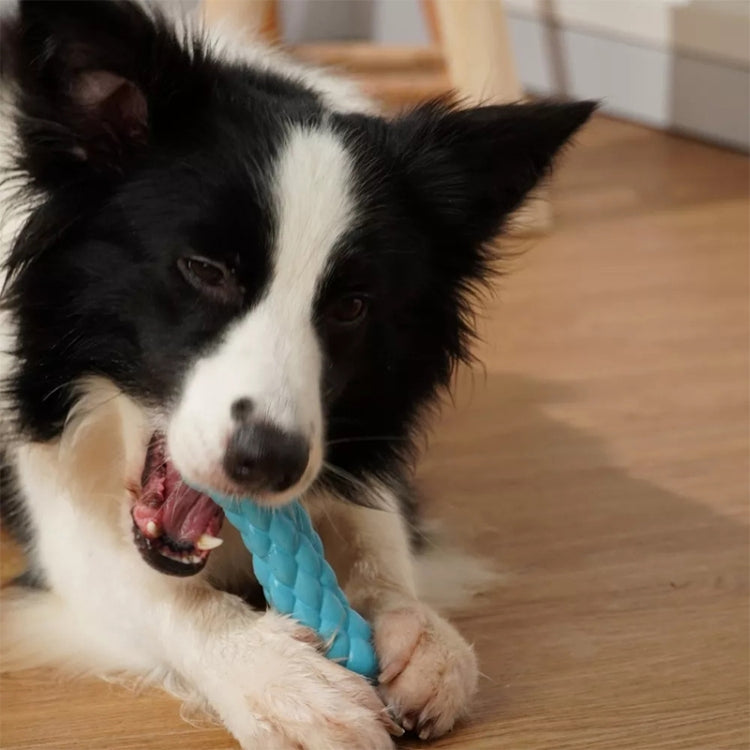 Rubber Bubble Sound Bone Shape Dog Toy Pet Products