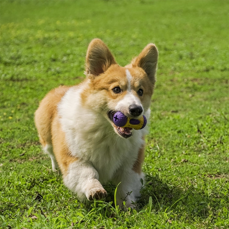Natural Rubber+TPR Material Waist Drum Shape Dog Missing Food Toy Pet Products