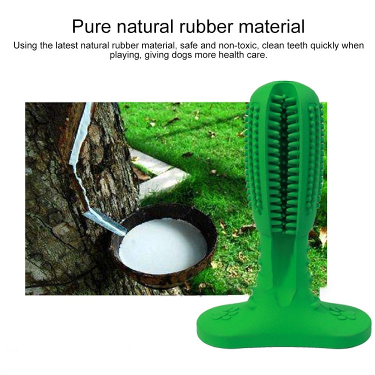 Pet Toothbrush Vocal Cleaning Teeth Molar Rod Dog Toy Supplies, Size: 18x13.5x5.5cm(Green)