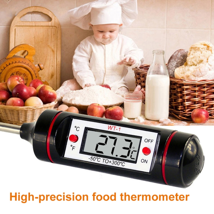 Digital Thermometer HT-1