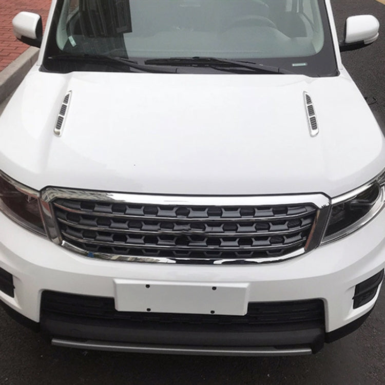 Car Decoration Stickers (Pair)