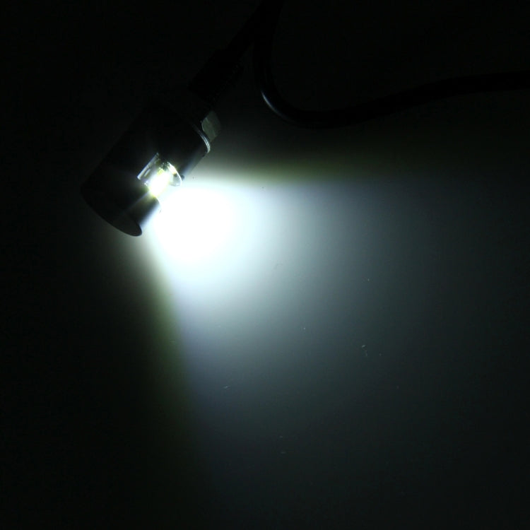 2 PCS 1W 100lm 1-SMD 5630 LED White Light Car / Motorcycle License Plate Screw Lamp