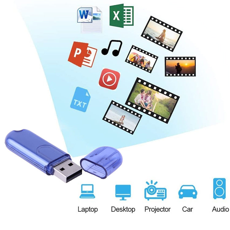 2GB USB Flash Disk(Blue)