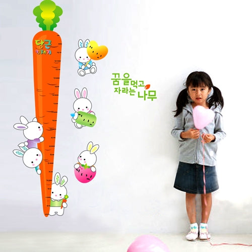 DIY Fashion Self Adhesive PVC Removable Wall Stickers / House Interior Decoration Pictures -- Carrot & Bunny, Size: 70cm x 50cm
