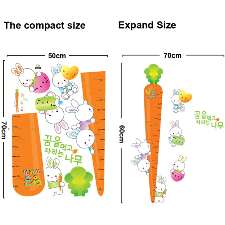 DIY Fashion Self Adhesive PVC Removable Wall Stickers / House Interior Decoration Pictures -- Carrot & Bunny, Size: 70cm x 50cm