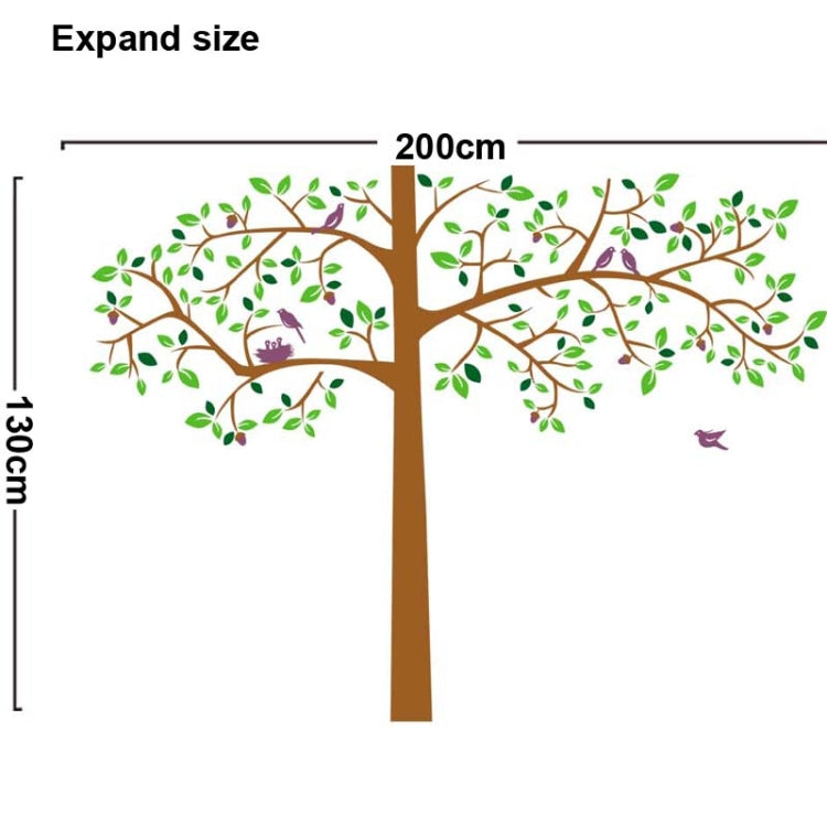 DIY Fashion Self Adhesive PVC Removable Wall Stickers / House Interior Decoration Pictures -- Trees and Birds, Size: 90cm x 60cm
