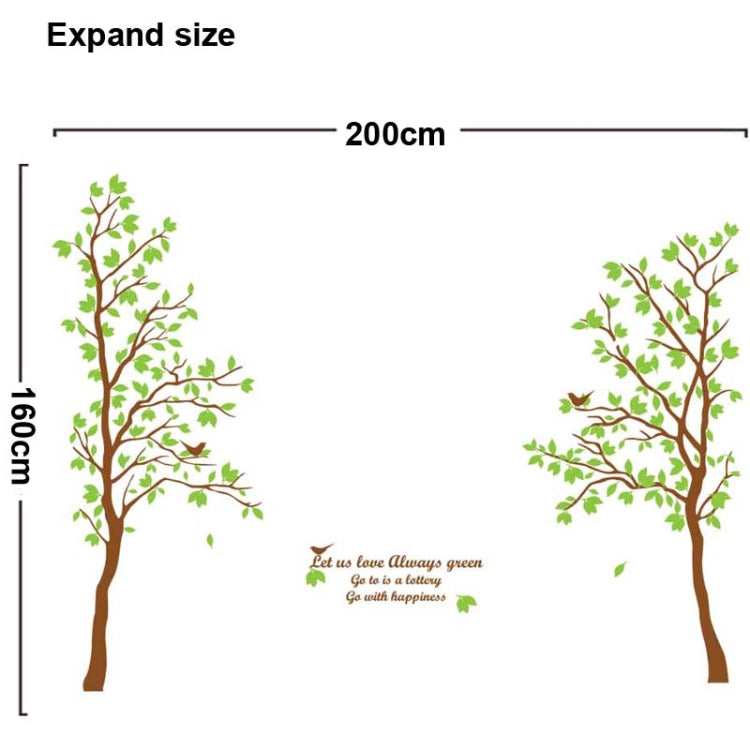 DIY Fashion Self Adhesive PVC Removable Wall Stickers / House Interior Decoration Pictures -- Trees, Size: 90cm x 60cm
