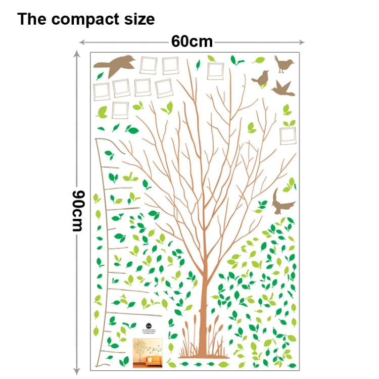 DIY Fashion Self Adhesive PVC Removable Wall Stickers / House Interior Decoration Pictures -- Photo Wall & Tree, Size: 90cm x 60cm