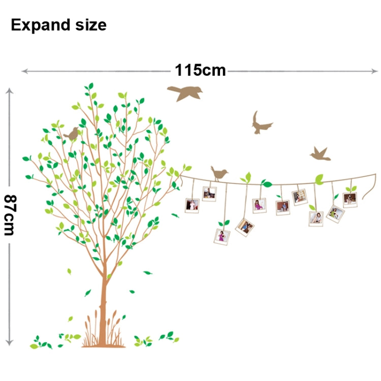 DIY Fashion Self Adhesive PVC Removable Wall Stickers / House Interior Decoration Pictures -- Photo Wall & Tree, Size: 90cm x 60cm