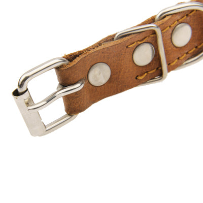 New Style Durable Synthetic Leather Dog Collar Pets Neck Strap ( Size: 48 x 2.0cm)