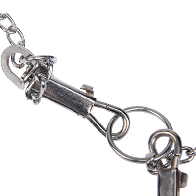 Iron Chain and Collar Traction Rope Dog Rope Chain for Puppy Dog Pet