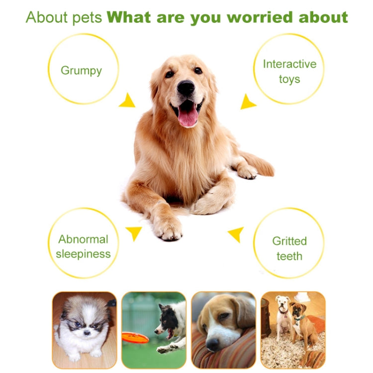 Bone Shape Plastic Pet Toys with Whistle for Dogs / Cats, Random Color Delivery