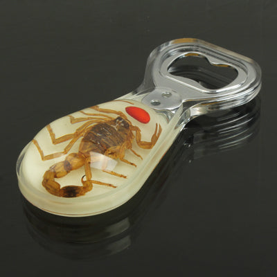 Amber Scorpion with Red Fruit Style Bottle Opener Soda Cola Beer Decapper