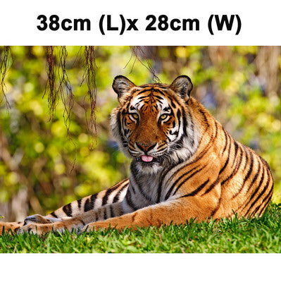 Tiger Picture Laptop Skin Sticker, Support Laptop Size: 10.2 inch, 13.3 inch, 14.1 inch, 15 inch