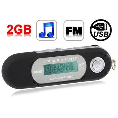2GB MP3 Player with LCD Screen, Support FM Radio, Work with AAA battery, Use as USB Flash Disk(Black)