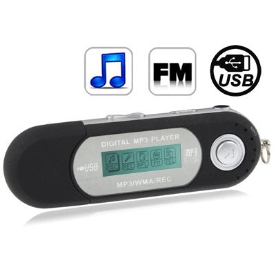 2GB MP3 Player with LCD Screen, Support FM Radio, Work with AAA battery, Use as USB Flash Disk(Black)