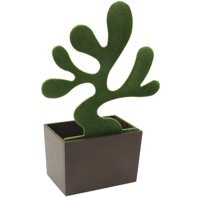 Desk Bonsai: Accessories Box & Note Plate