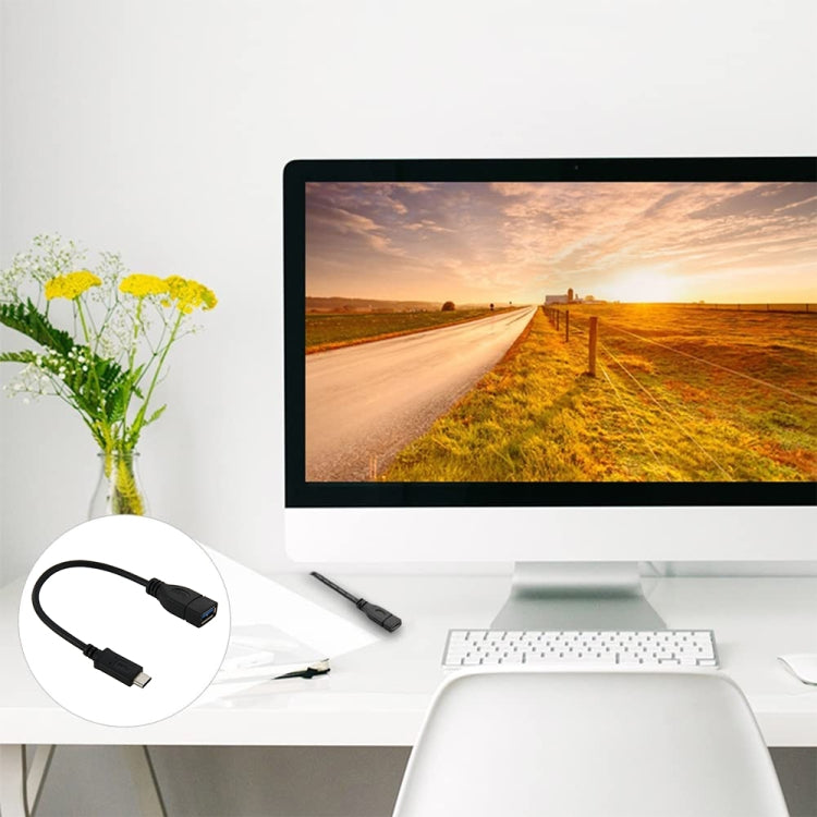 22cm USB-C / Type-C 3.1 Male to USB 3.0 Female Adapter Cable(Black)