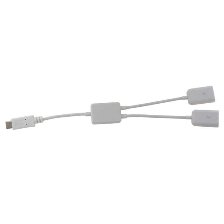 21cm 2 in 1 USB-C / Type-C 3.1 to USB 2.0 Data Cable, For Galaxy S8 & S8 + / LG G6 / Huawei P10 & P10 Plus / Xiaomi Mi 6 & Max 2 and other Smartphones(White)