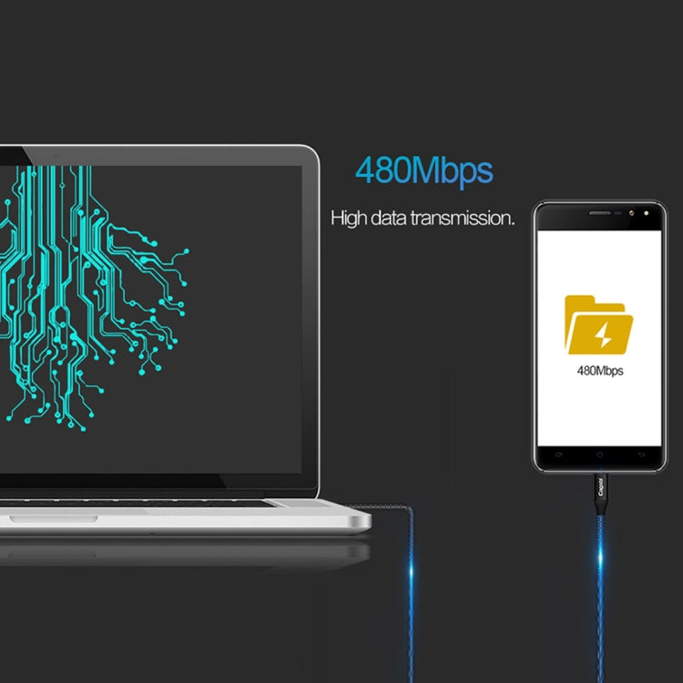 Cagabi N2 1m 2.4A Aviation Aluminum Alloy + Nylon USB to USB-C / Type-C Data Sync Fast Charging Cable, For Samsung Galaxy S8 & S8 + / LG G6 / Huawei P10 & P10 Plus / Xiaomi Mi 6 & Max 2 and other Smartphones