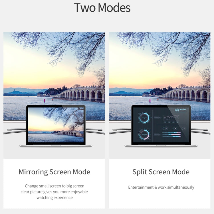 ROCK USB-C / Type-C to HDMI Female Transfer Cable Converter(Grey)