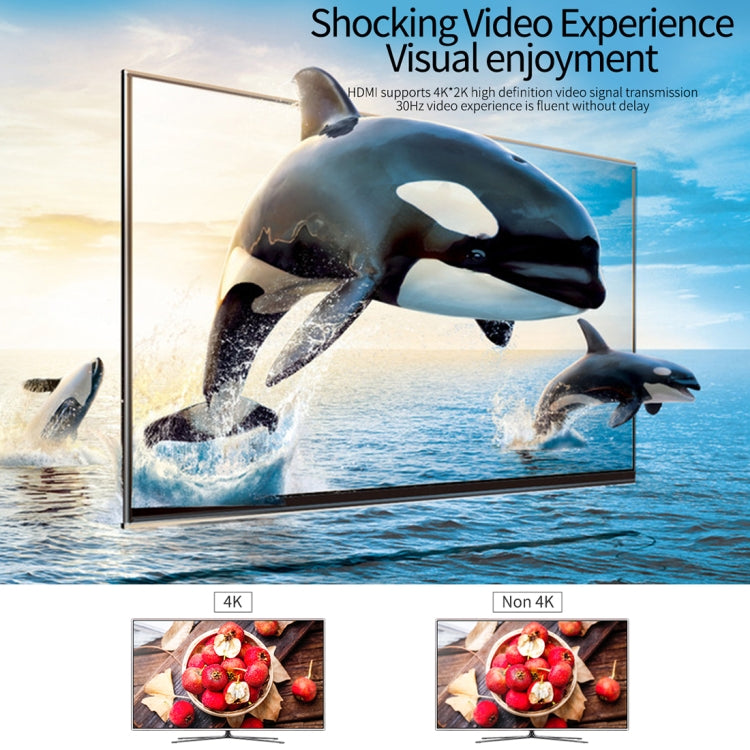 ROCK USB-C / Type-C to HDMI Female Transfer Cable Converter(Grey)