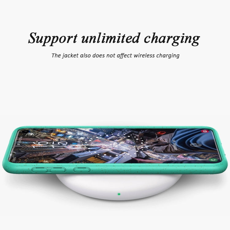 Starry Series Shockproof Straw Material + TPU Protective Case for Galaxy S10e