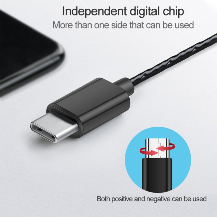 8163 USB-C / Type-C Interface Mega Bass In Ear Wired Earphone with Mic