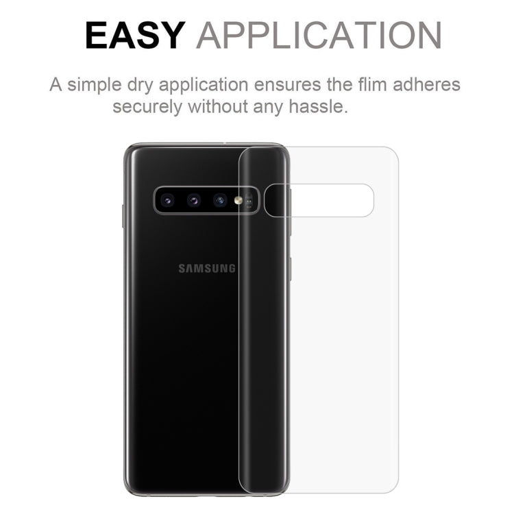 PET Full Screen Back Screen Protector for Galaxy S10