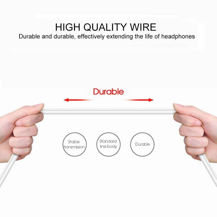 1.2m Wired In Ear USB-C / Type-C Interface Stereo Earphones with Mic