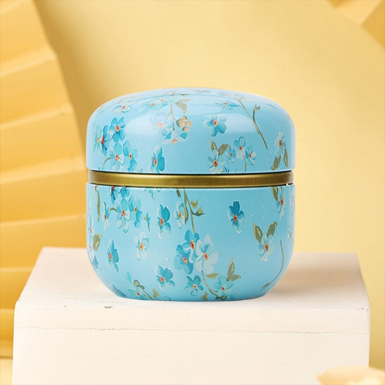 HOOMIN Tea Box Tea Jar Storage Holder Tea Caddies Matcha Container Mini Coffee Powder Organizer Cans Multifunction Round Metal, Color:Shallow wind