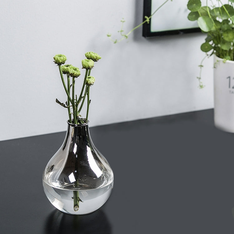 Creative Hand-made Desktop Transparent Glass Hydroponic Container Wedding Home Decoration, Style:SH136