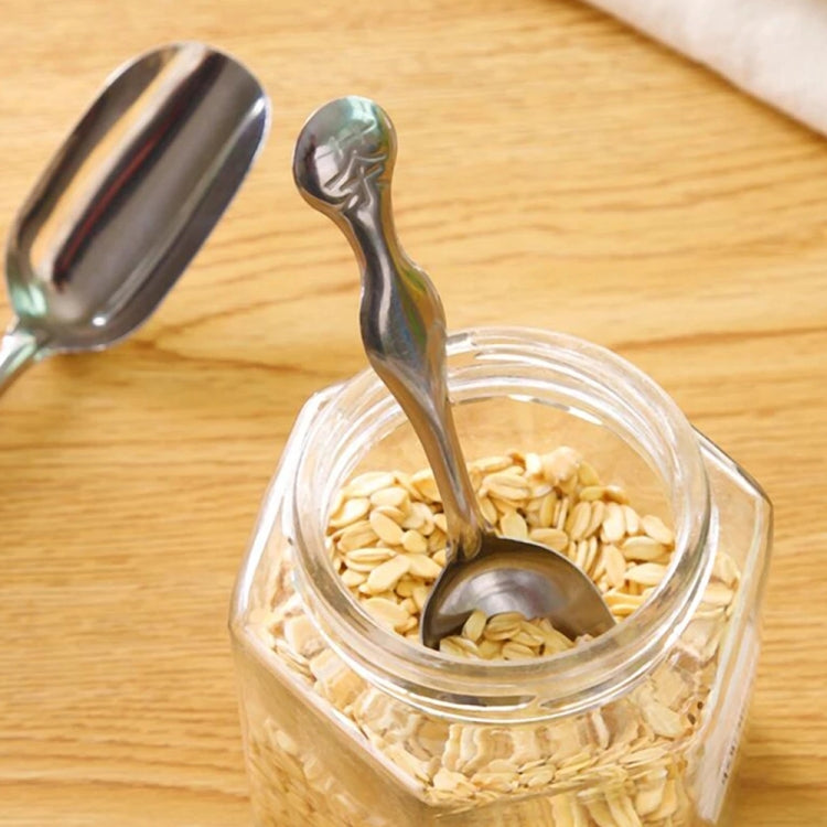 2 Pcs Stainless Steel Tea scoops Minimalist Teaspoon Tea Powder Scoop Flower Tea Spoons