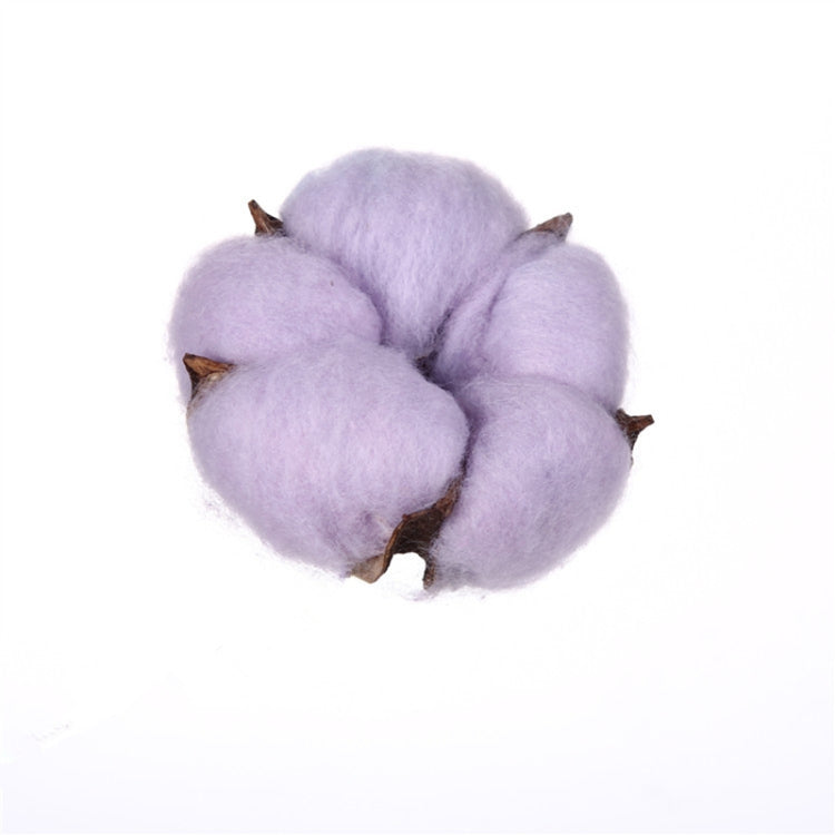 10 PCS Natural Cotton Balls Dry Flower Plants Party Birthday Hotel Courtyard Decoration