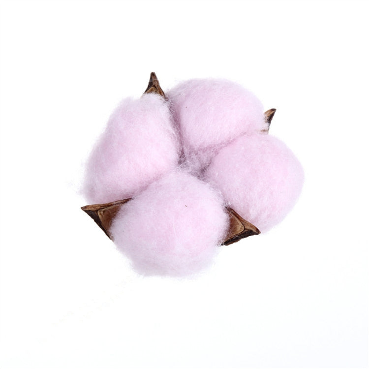 10 PCS Natural Cotton Balls Dry Flower Plants Party Birthday Hotel Courtyard Decoration