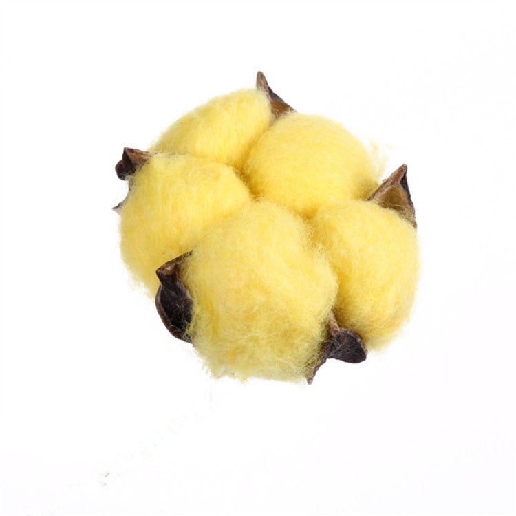 10 PCS Natural Cotton Balls Dry Flower Plants Party Birthday Hotel Courtyard Decoration