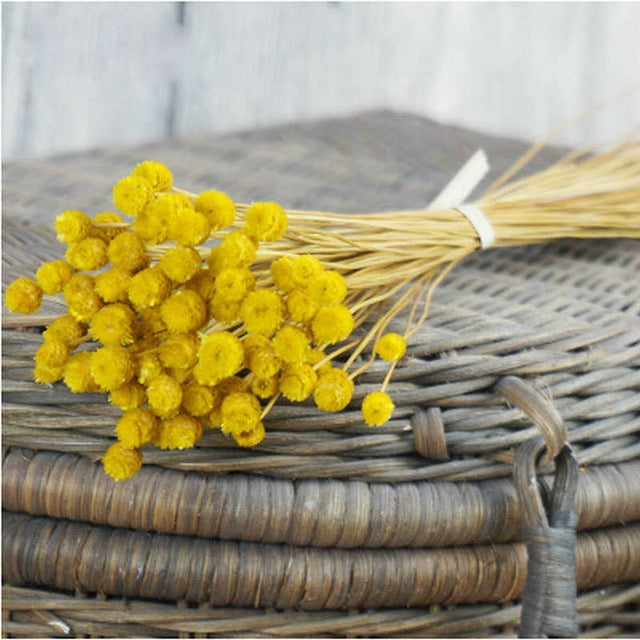 50 PCS Natural Art Dried Flowers Floral DIY Artificial Happy Flowers For Garden Decor Photo Props