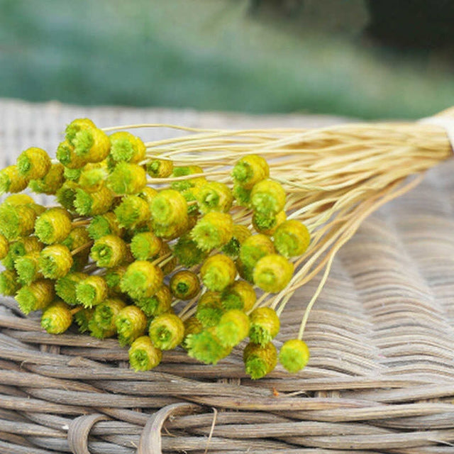 50 PCS Natural Art Dried Flowers Floral DIY Artificial Happy Flowers For Garden Decor Photo Props