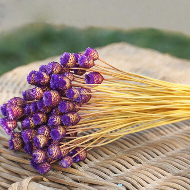 50 PCS Natural Art Dried Flowers Floral DIY Artificial Happy Flowers For Garden Decor Photo Props