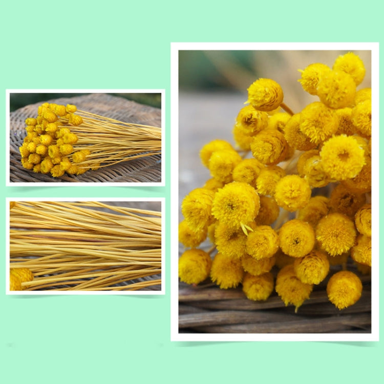 50 PCS Natural Art Dried Flowers Floral DIY Artificial Happy Flowers For Garden Decor Photo Props