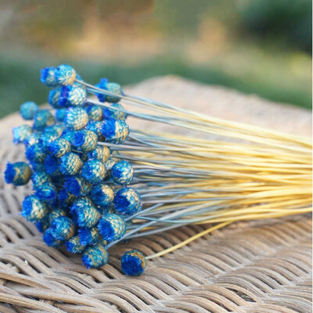 50 PCS Natural Art Dried Flowers Floral DIY Artificial Happy Flowers For Garden Decor Photo Props