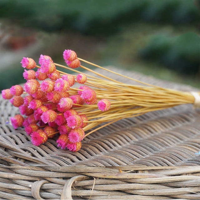 50 PCS Natural Art Dried Flowers Floral DIY Artificial Happy Flowers For Garden Decor Photo Props