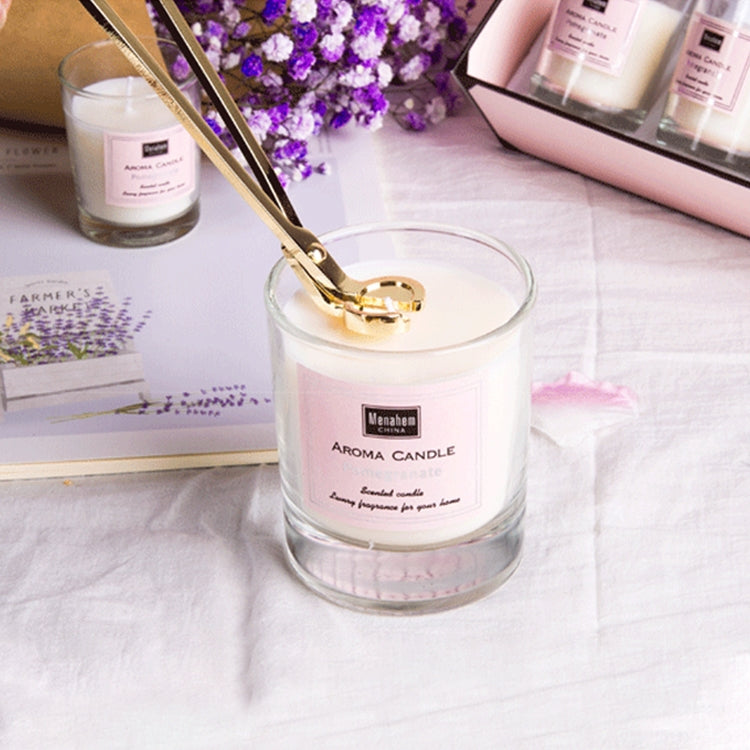 Stainless Steel Candle Wick Trimmer Candle Scissors Cutter