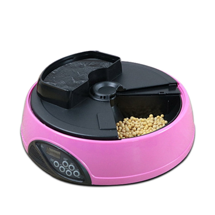 Pet Feed Wet Food Automatic Timing Feeder Cat can Soak in Water Dispenser