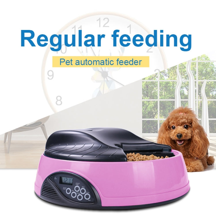 Pet Feed Wet Food Automatic Timing Feeder Cat can Soak in Water Dispenser