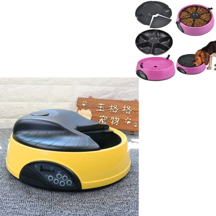 Pet Feed Wet Food Automatic Timing Feeder Cat can Soak in Water Dispenser