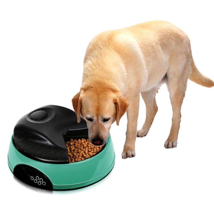 Pet Feed Wet Food Automatic Timing Feeder Cat can Soak in Water Dispenser