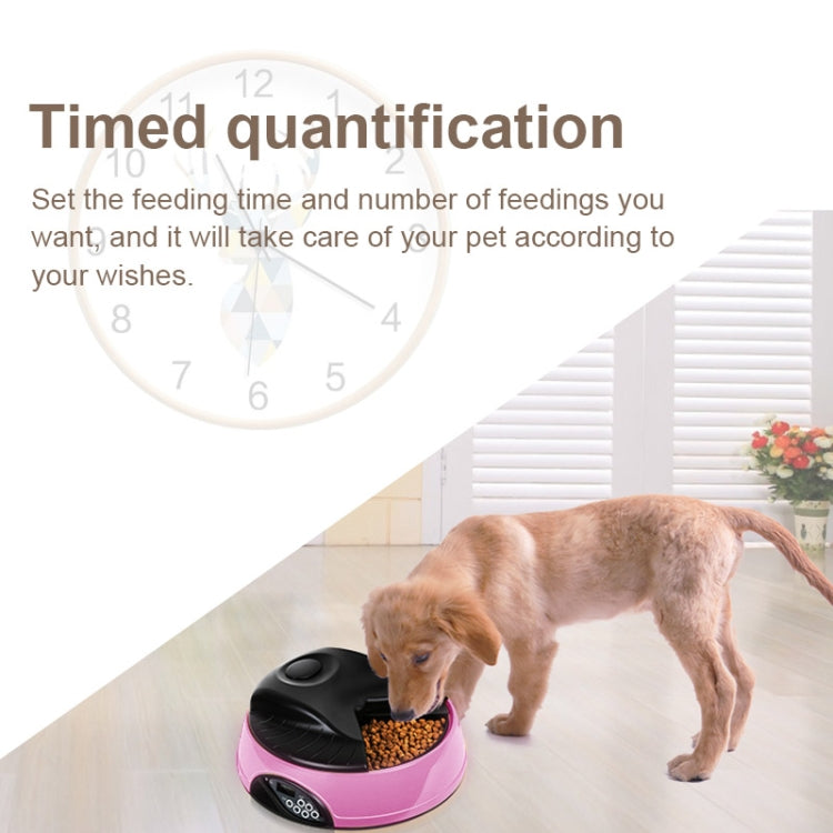 Pet Feed Wet Food Automatic Timing Feeder Cat can Soak in Water Dispenser